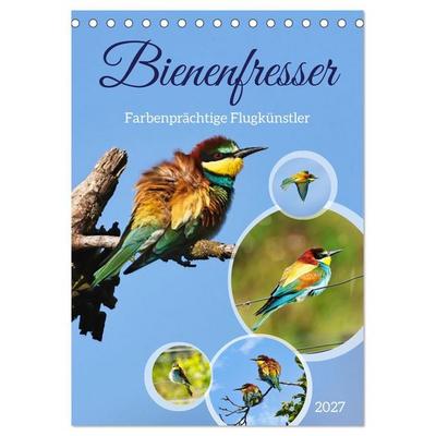 Bienenfresser, farbenprächtige Flugkünstler (Tischkalender 2027 DIN A5 hoch), CALVENDO Monatskalender