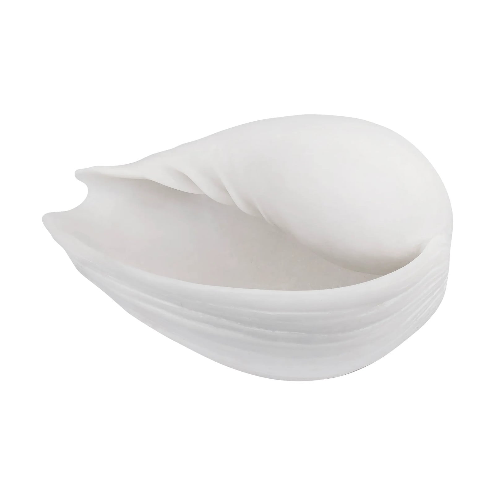 Mette Ditmer Conch decoratieschelp Small voor op tafel