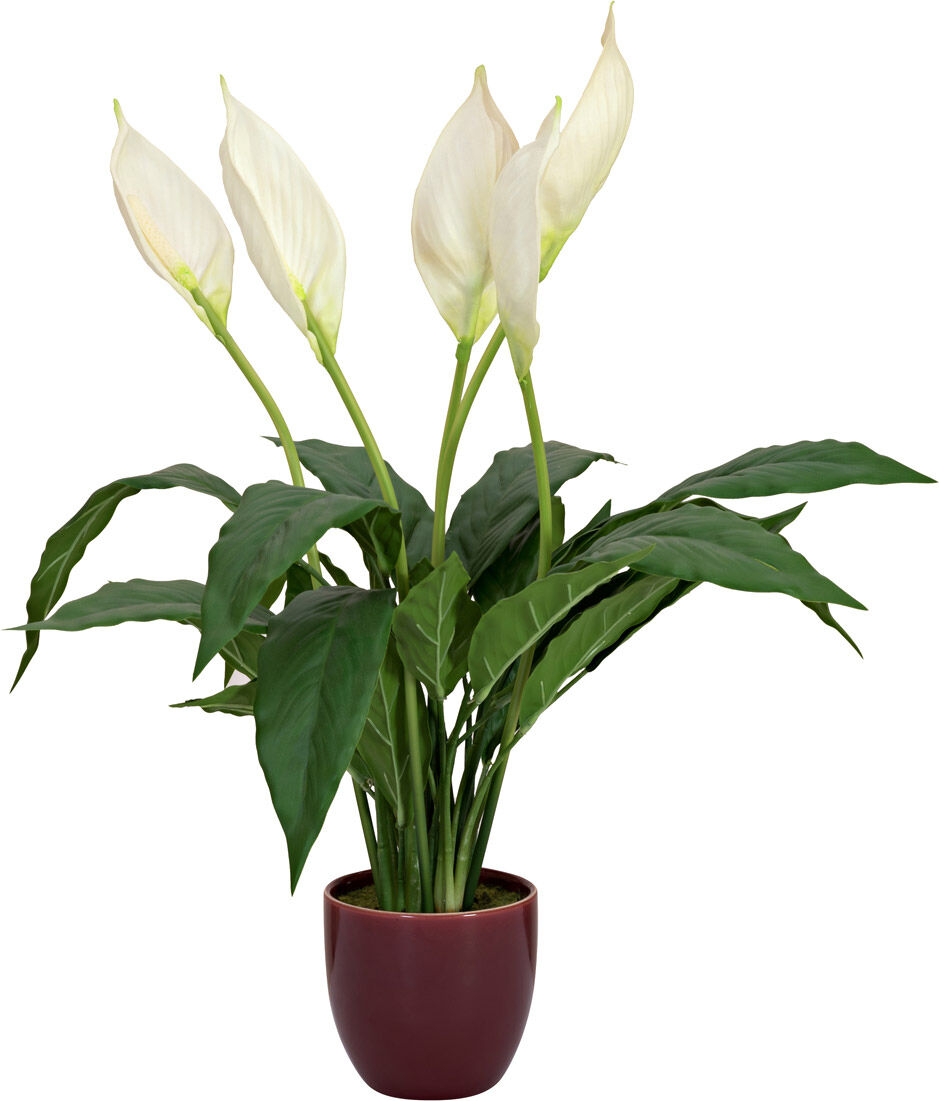 Europalms Einblatt, Kunstpflanze, 60cm