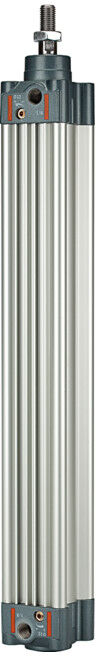 Riegler Normzylindre, double effet, aimant, Ø piston 32, course 600, G 1/8 (5.DMD.32600)