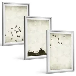 BILDER SET 3er Set - 40x60 cm Silberner Rahmen - Vögel im Flug, minimalistischer Stil