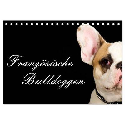 Französische Bulldoggen (Tischkalender 2027 DIN A5 quer), CALVENDO Monatskalender