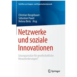 Netzwerke und soziale Innovationen, Fachbücher von Christian Neugebauer