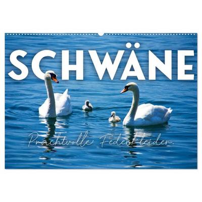 Schwäne - Prachtvolle Federkleider. (Wandkalender 2027 DIN A2 quer), CALVENDO Monatskalender