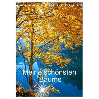 Meine schönsten Bäume (Tischkalender 2027 DIN A5 hoch), CALVENDO Monatskalender