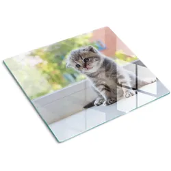 GLASPLATTE 60x52 cm Kleines Fenster für die Katze
