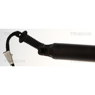 TRISCAN 8710 24307 für Opel