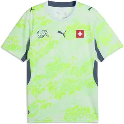 Puma, Herren, Fussballtrikot, SFV Away Jersey Replica (XXL), Türkis, Blau