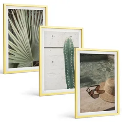 BILDER SET 3er Set - 40x60 cm Goldrahmen - Zubehör für tropische Pflanzen