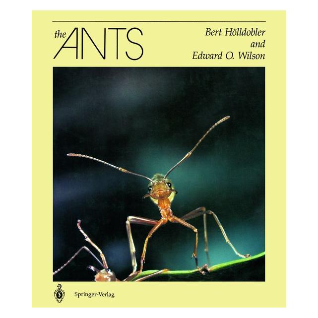 Springer The Ants (Englisch, Hardcover, Bert Hölldobler, Edward O Wilson) (35139858)