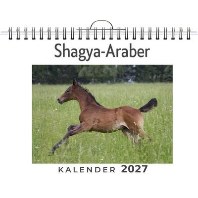 Shagya-Araber