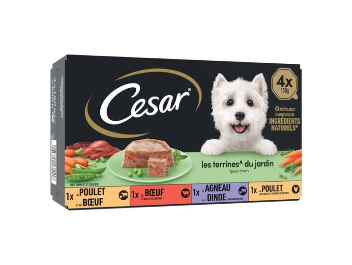 CESAR Les Recettes de Campagne Pâtées en Barquettes pour Chien Poulet, Volaille, Bœuf et Gibier (4 x 150g)