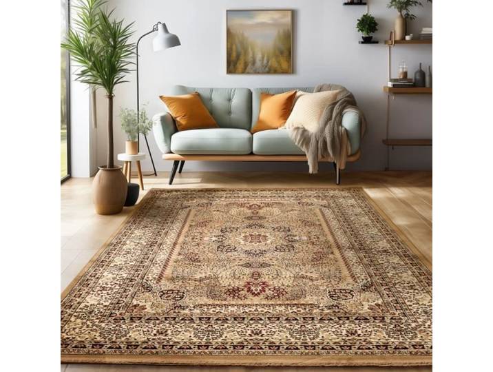 Tapis oriental traditionnel classique optique persan ornements sable rouge noir [120x170 cm]