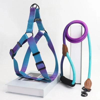 Inspired Living Soft Adjustable Small Dog Harness And Leash Set purple blue m