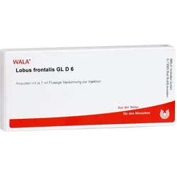 Lobus Frontalis Gl D 6