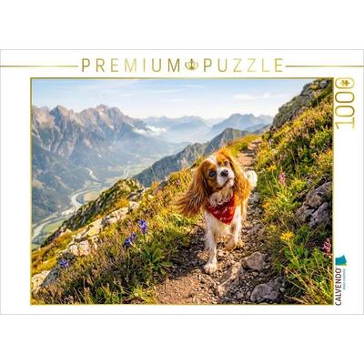 CALVENDO Puzzle Cavalier Spaniel Wandertour in den Alpen | 1000 Teile Lege-Größe 64 × 48 cm Foto-Puzzle für glückliche Stunden