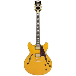 D’Angelico Guitars Excel DC Amber - E-Gitarre