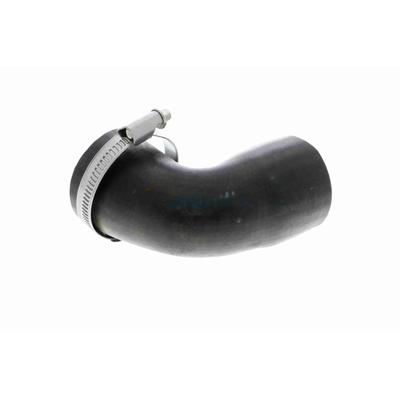 VAICO Ladeluftschlauch Q+, Erstausrüsterqualität v251020 für Ford