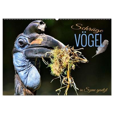 Schräge Vögel in Szene gesetzt (Wandkalender 2027 DIN A2 quer), CALVENDO Monatskalender