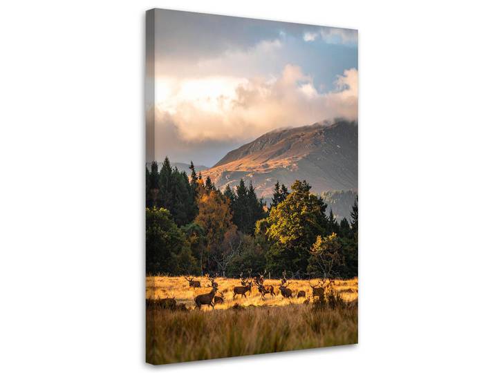Feeby Leinwandbild Landschaft Blick Hirsche auf der Brunft 70x100cm, Beige, Landschaft/Berg, Rechteckig, 70x100 cm, Bilder & Rahmen, Bilder, Leinwandbilder
