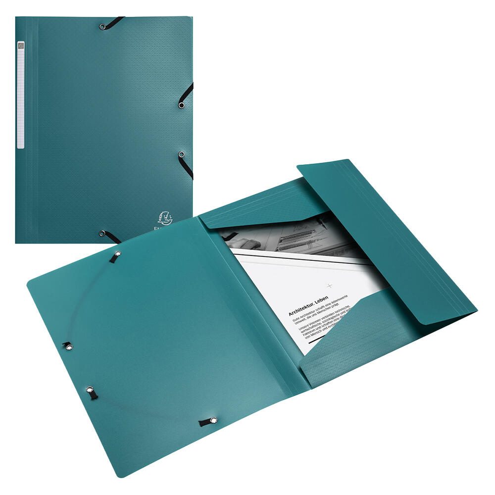 Exacompta Sammelmappe Opak DIN A4 grün 55703E