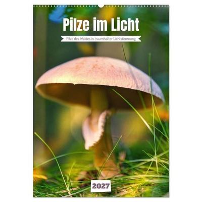 Pilze im Licht (Wandkalender 2027 DIN A2 hoch), CALVENDO Monatskalender