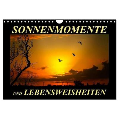 Sonnenmomente und Lebensweisheiten (Wandkalender 2027 DIN A4 quer), CALVENDO Monatskalender