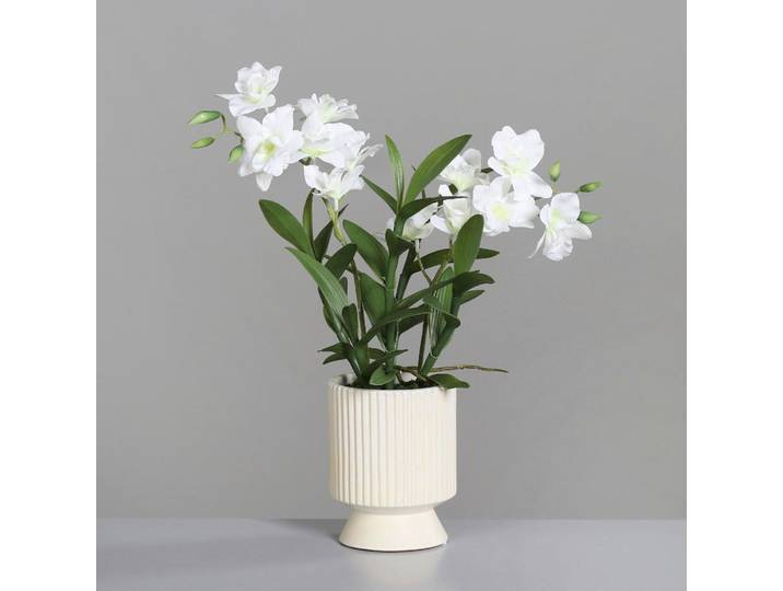 Pflanzentopf, Grün, Kunststoff, 45 cm, Dekoration, Blumen & Blumentöpfe, Übertöpfe