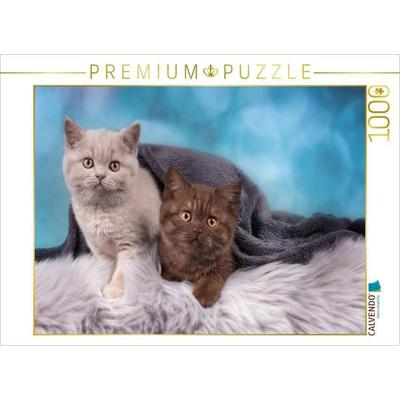 CALVENDO Puzzle Beste Freunde | 1000 Teile Lege-Größe 64x48cm Foto-Puzzle für glückliche Stunden, Sonstige von , Calvendo Puzzle