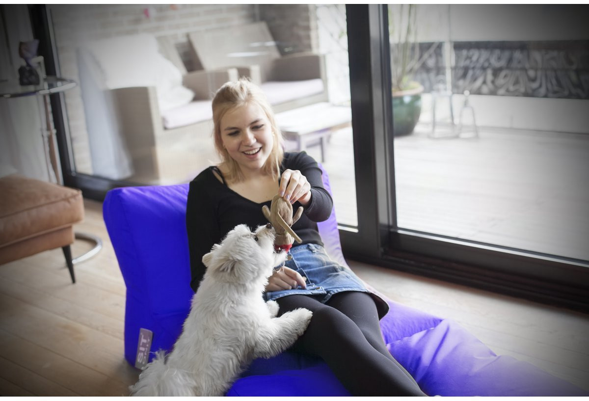 Sit On It Zitzakbed Loungebed Koningsblauw Weerbestendig en Lichtgewicht
