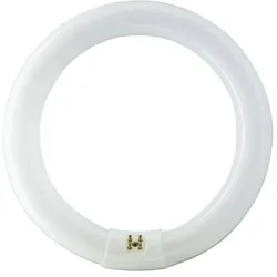Philips G10q  Leuchstoffröhre MASTER TL-E Circular 32W/865