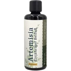 Waldkraft Artemisia - Einjähriger Beifuß alkoholfrei (in Sauerhonig) 50ml