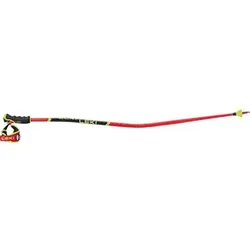 LEKI Herren Alpin-Skistock WCR TBS GS 3D, Größe 130 in Rot Rot