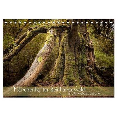 Märchenhafter Reinhardswald und Urwald Sababurg (Tischkalender 2027 DIN A5 quer), CALVENDO Monatskalender