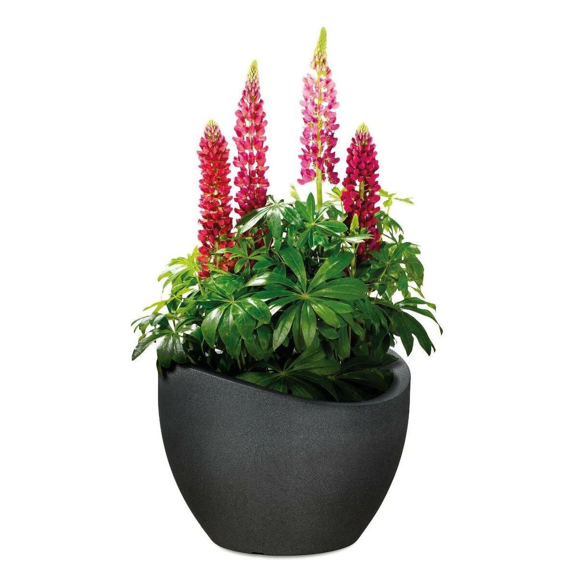 Scheurich Wave Globe (29.50 x 22.20 cm) (53379)