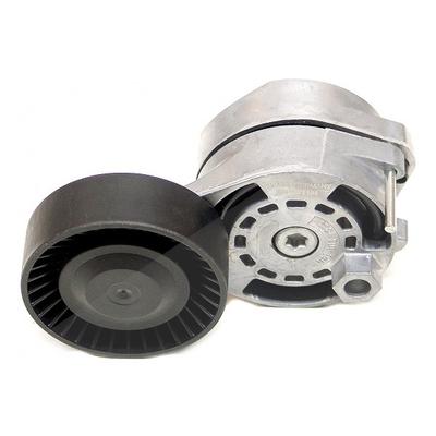 Mapco Spannarm, Keilrippenriemen [Hersteller-Nr. 24850] für Audi