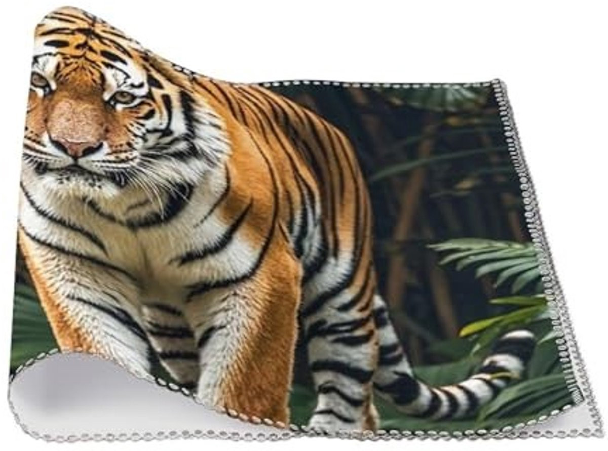 Set van 6 hittebestendige en antislip placemats voor volwassenen