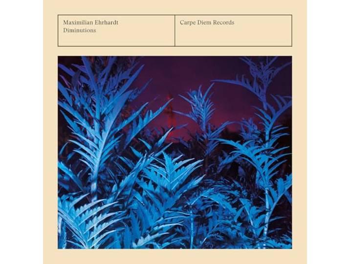 Maximilian Ehrhardt: Diminutions