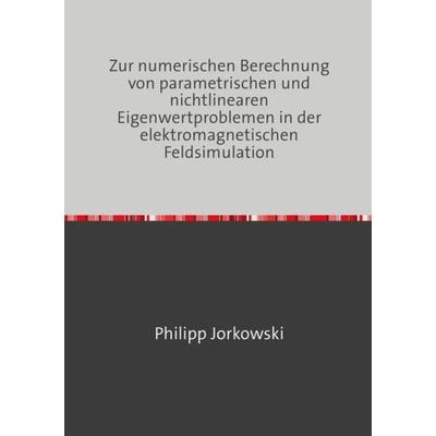 Zur numerischen Berechnung von parametrischen und nichtlinearen Eigenwertproblemen in der elektromagnetischen Feldsimulation, Taschenbuch von Philipp