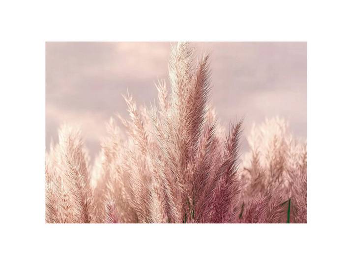 Wallarena Fototapete Gras Boho Natur 250x175, Mehrfarbig, Papier, Baum/Pflanze/Natur, Rechteckig, 250x175 cm, Tapeten & Wandverkleidungen, Fototapeten