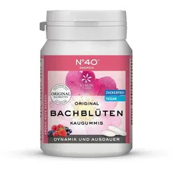 ENERGIE KAUGUMMI nach Dr.Bach 60 g