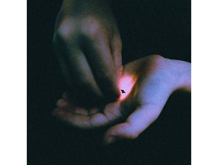Bambara - Stray