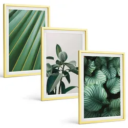 BILDER SET 3er Set - 40x60 cm Goldrahmen - Ästhetische tropische Blätter