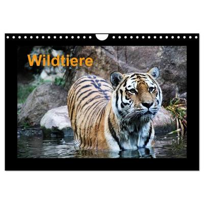 Wildtiere (Wandkalender 2026 DIN A4 quer), CALVENDO Monatskalender