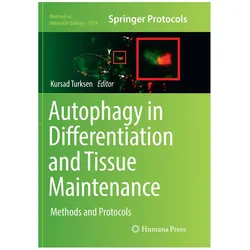 Autophagy in Differentiation and Tissue Maintenance, Fachbücher von Kursad Turksen