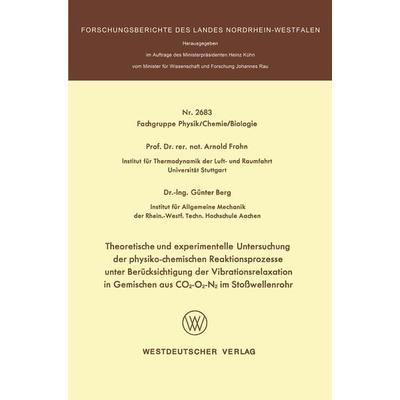 Theoretische und experimentelle Untersuchung der physiko-chemischen Reaktionsprozesse unter Berücksichtigung der Vibrationsrelaxation in Gemischen aus