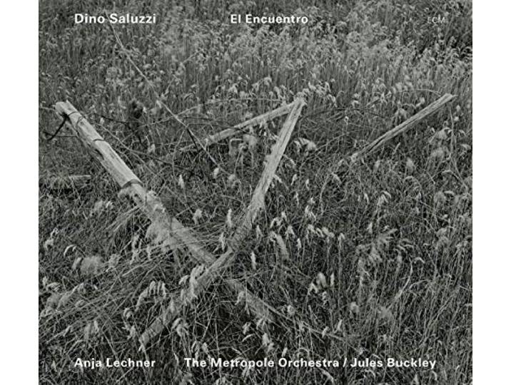 Dino Saluzzi & Anja Lechner - El Encuentro