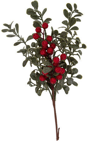 Beeren-Zweig mit Blättern, geeist