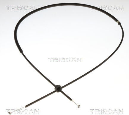 Triscan Motorhaubenzug 8140 11602 Für Bmw