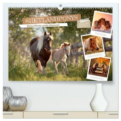 Shetlandponys - Kleine Pferde, große Momente (hochwertiger Premium Wandkalender 2027 DIN A2 quer), Kunstdruck in Hochglanz